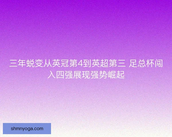三年蜕变从英冠第4到英超第三 足总杯闯入四强展现强势崛起