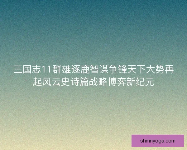 三国志11群雄逐鹿智谋争锋天下大势再起风云史诗篇战略博弈新纪元